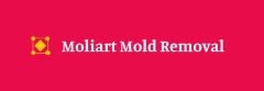 Moliart Mold Removal - Mold Services